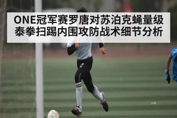 ONE冠军赛罗唐对苏泊克蝇量级泰拳扫踢内围攻防战术细节分析